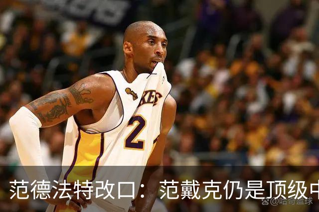 范德法特改口：范戴克仍是顶级中卫，他还是我们荷兰队的核心