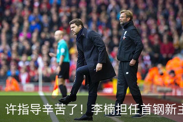 许指导辛苦了！李楠担任首钢新主帅 赵睿态度非争冠唯一障碍